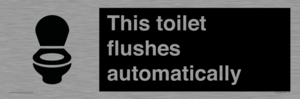 This toilet flushes automatically